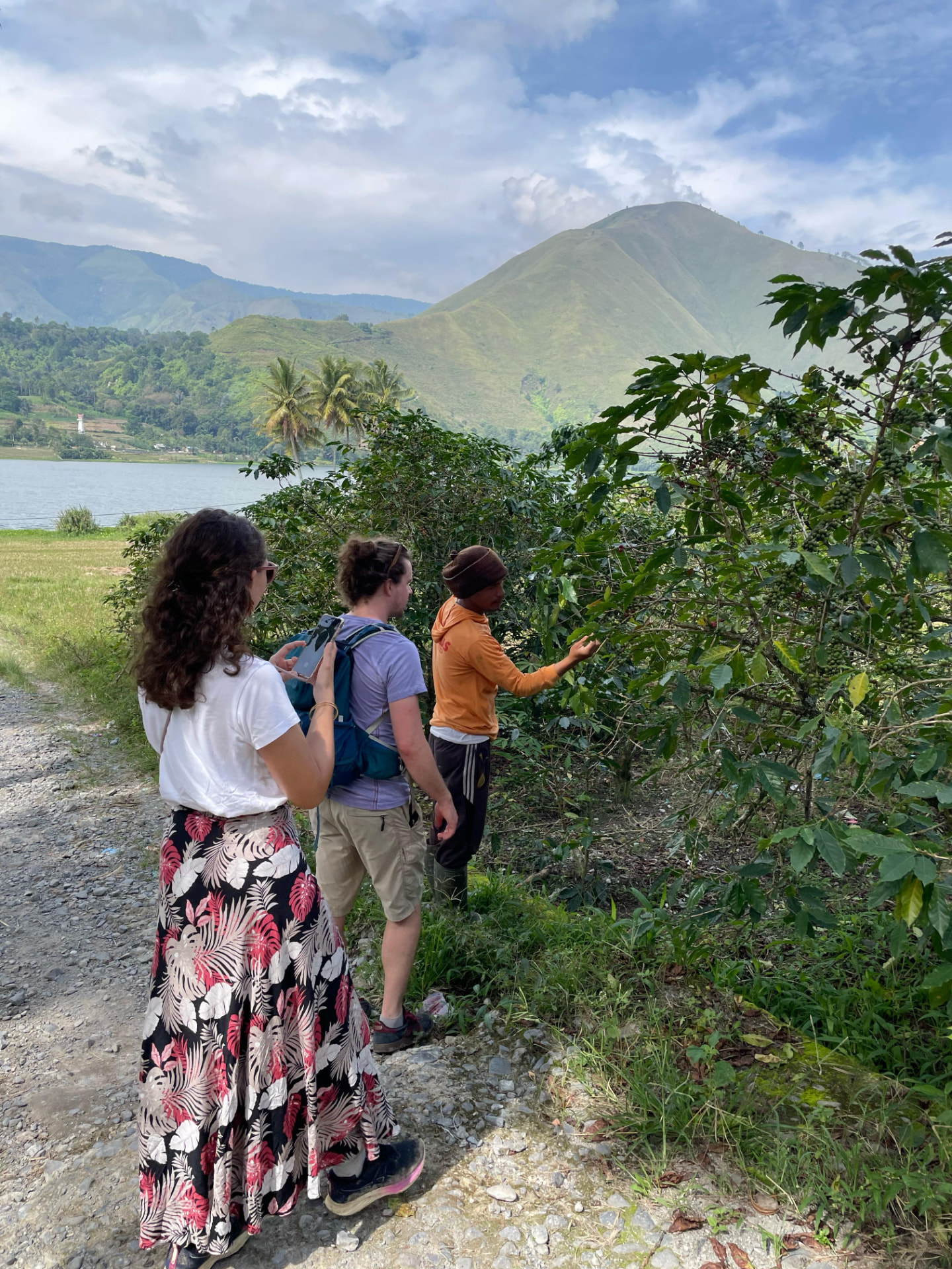 Guests learning about coffee trees with Lake Toba and the hills behind